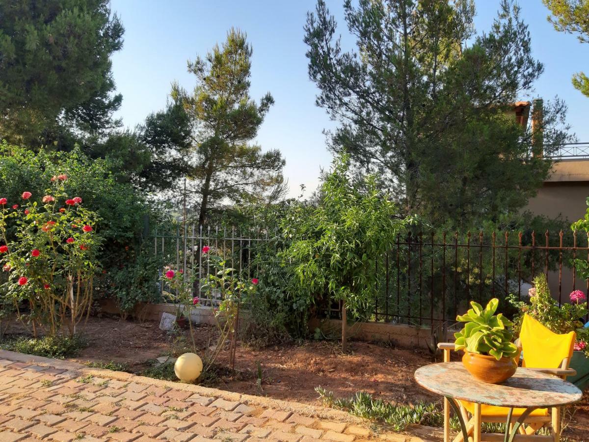 Litsas'Cozy House Villa Pórto Ráfti Dış mekan fotoğraf