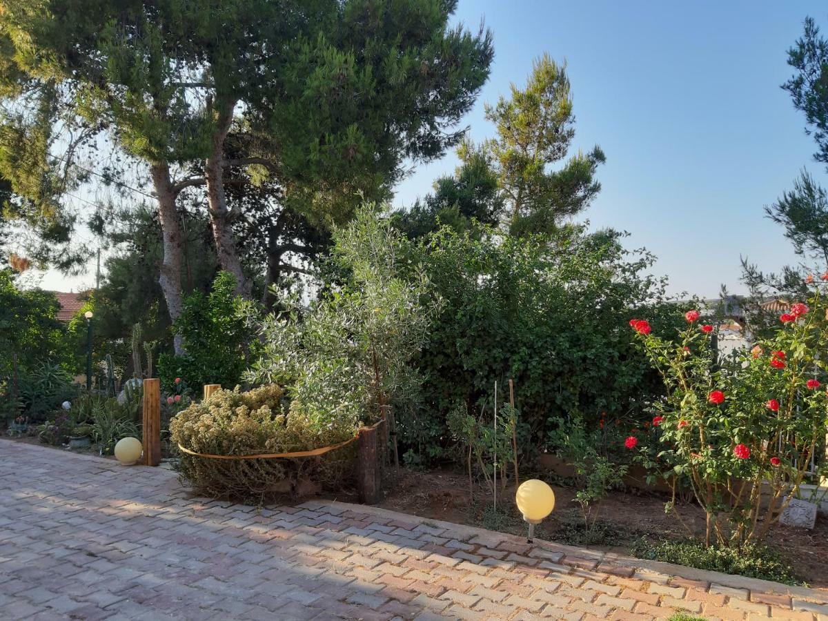 Litsas'Cozy House Villa Pórto Ráfti Dış mekan fotoğraf